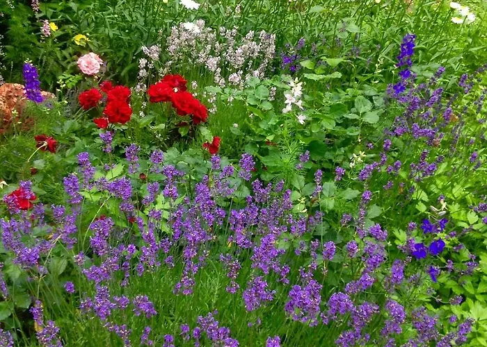 Flair Apartmanhaz Eger