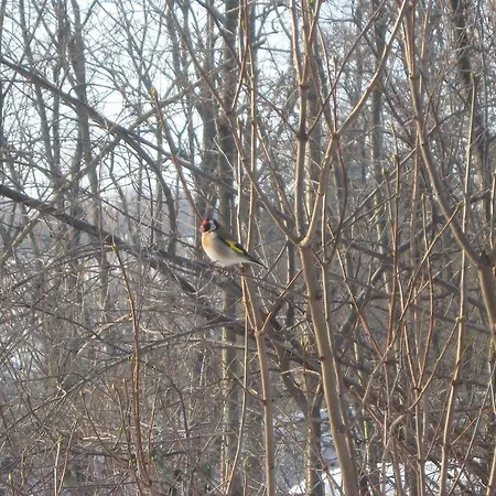 Apartmán Flair Apartmanhaz *